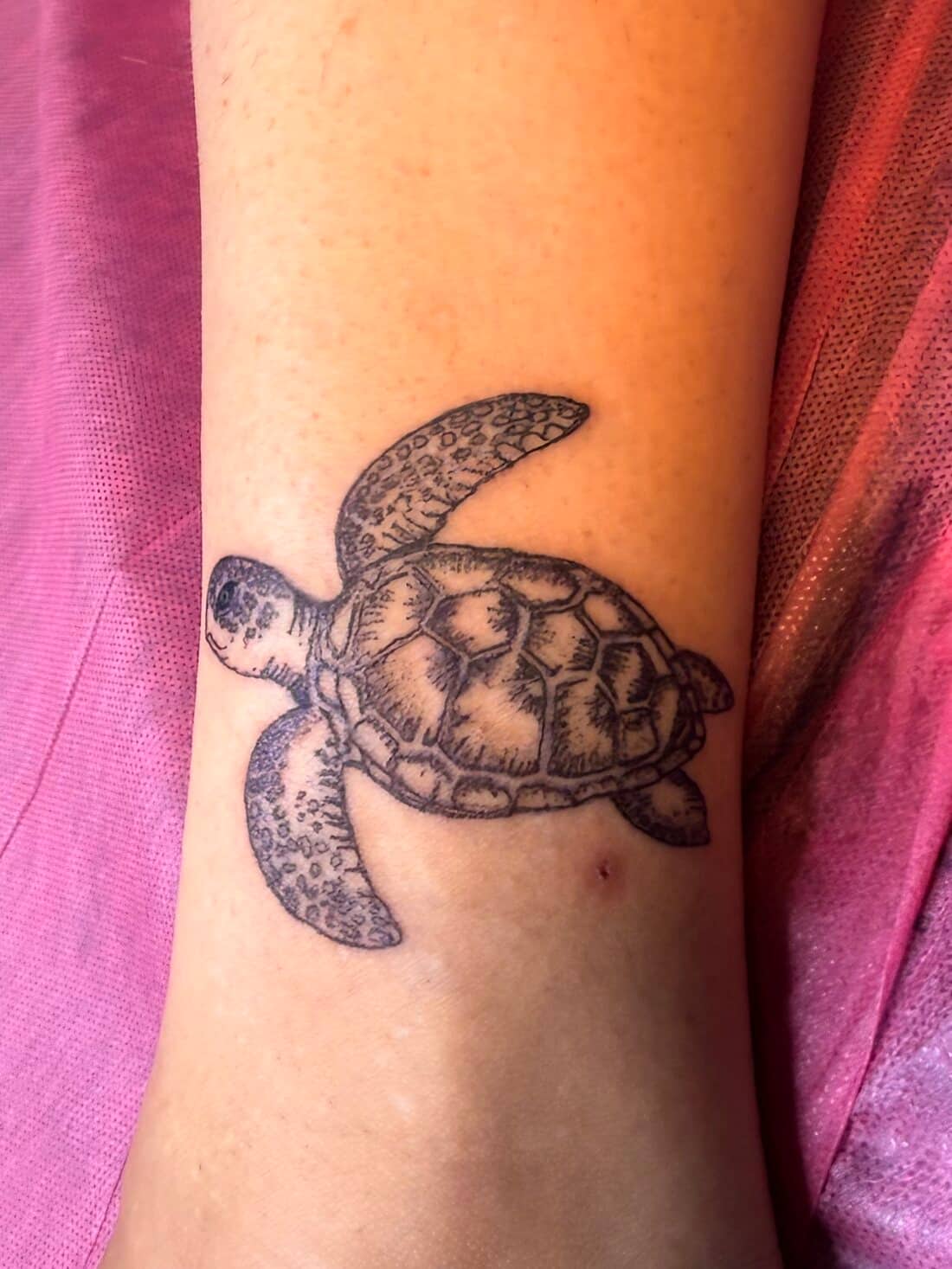Tattoo by Apollonia Ink in Barrie, black and grey sea turtle on an upper arm